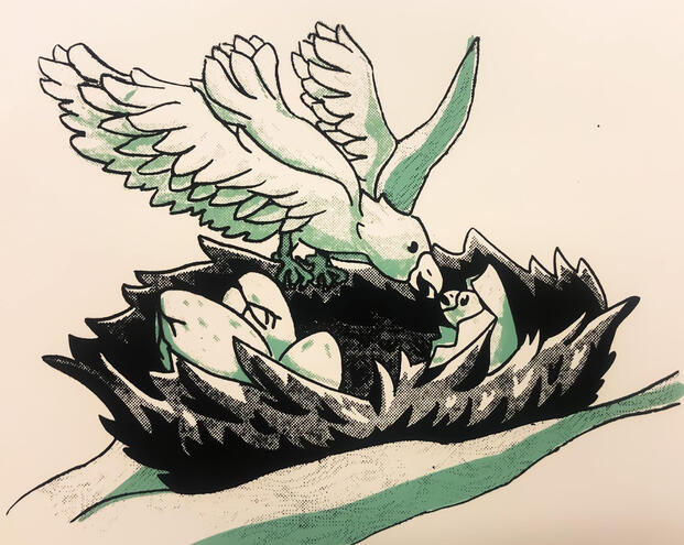 Birds Nest, October 2020